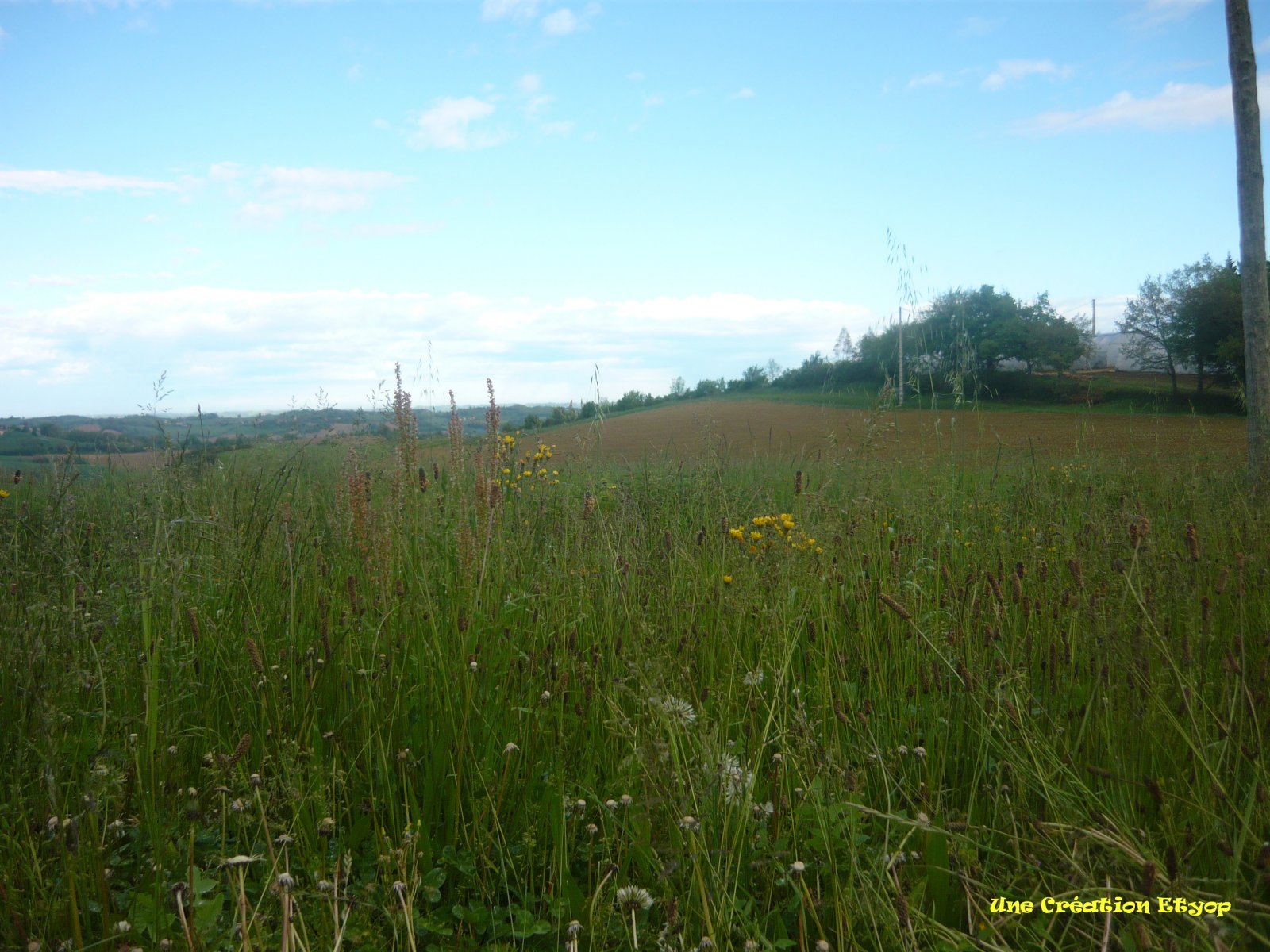 Fonds d'cran Nature Champs - Prairies Ma Campagne