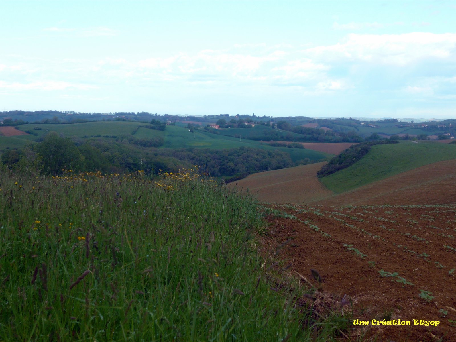 Wallpapers Nature Fields Ma Campagne