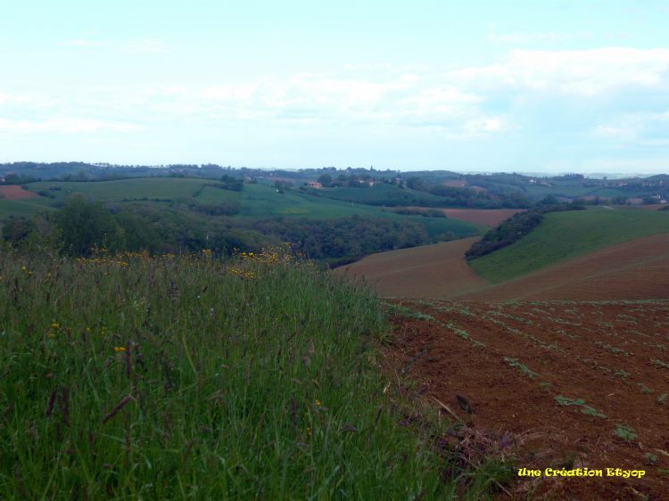 Wallpapers Nature Fields Ma Campagne