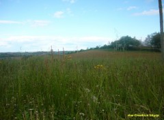  Nature Ma Campagne