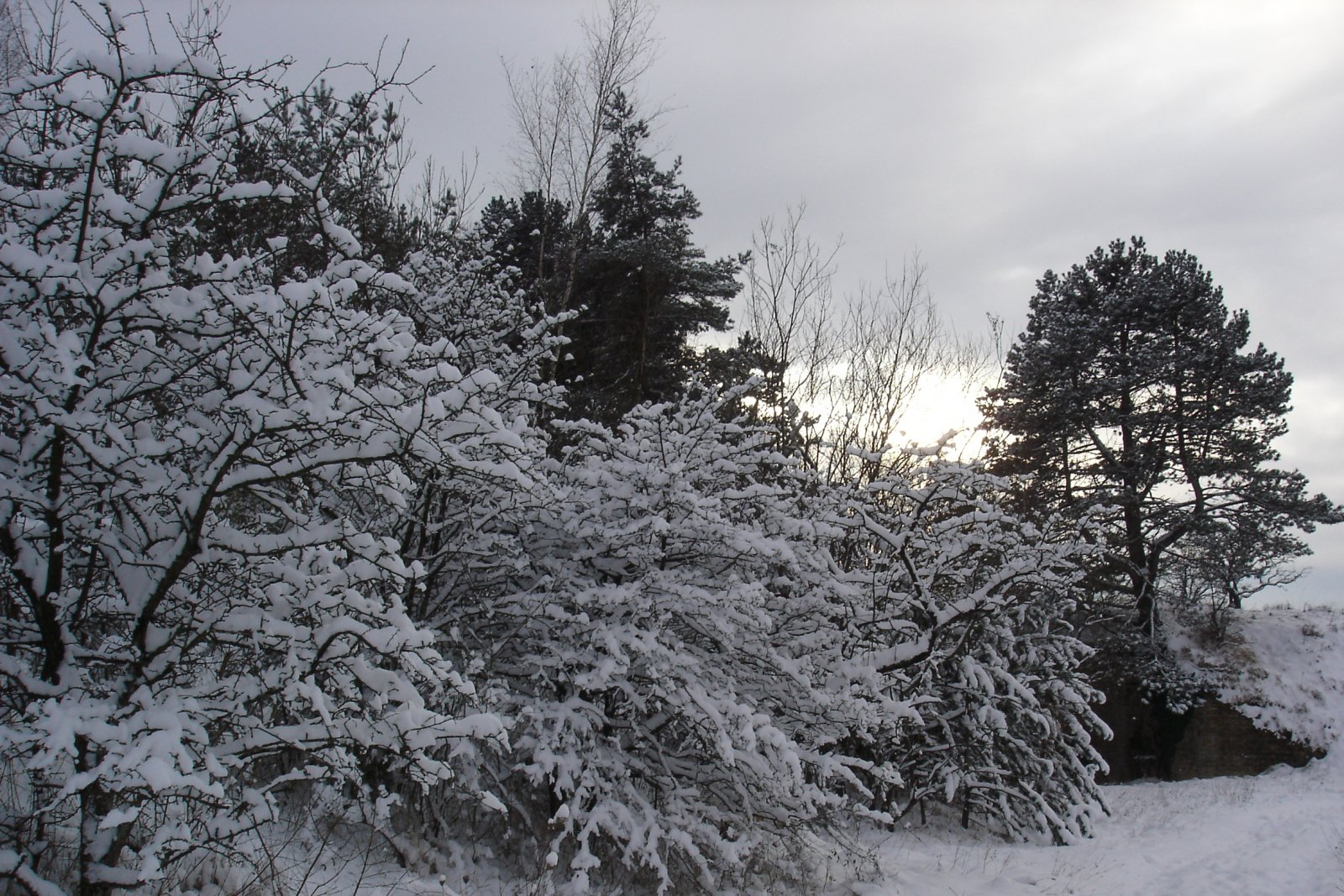 Fonds d'cran Nature Saisons - Hiver 