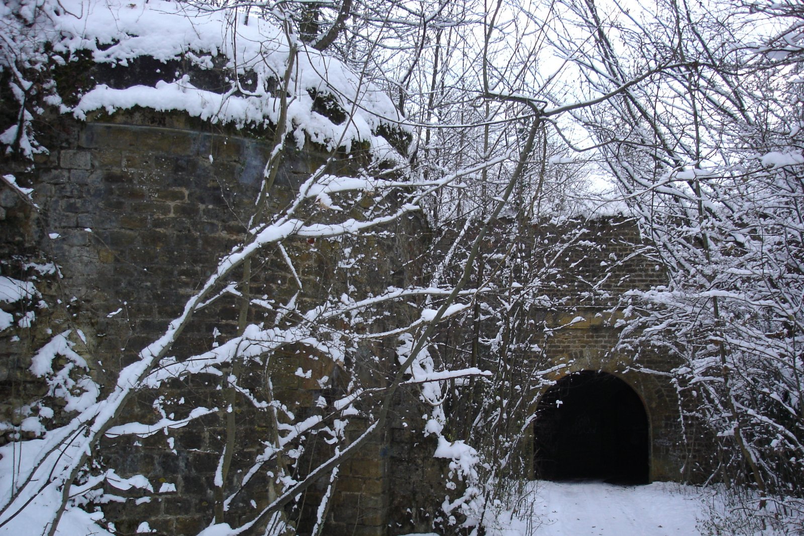 Fonds d'cran Nature Saisons - Hiver 