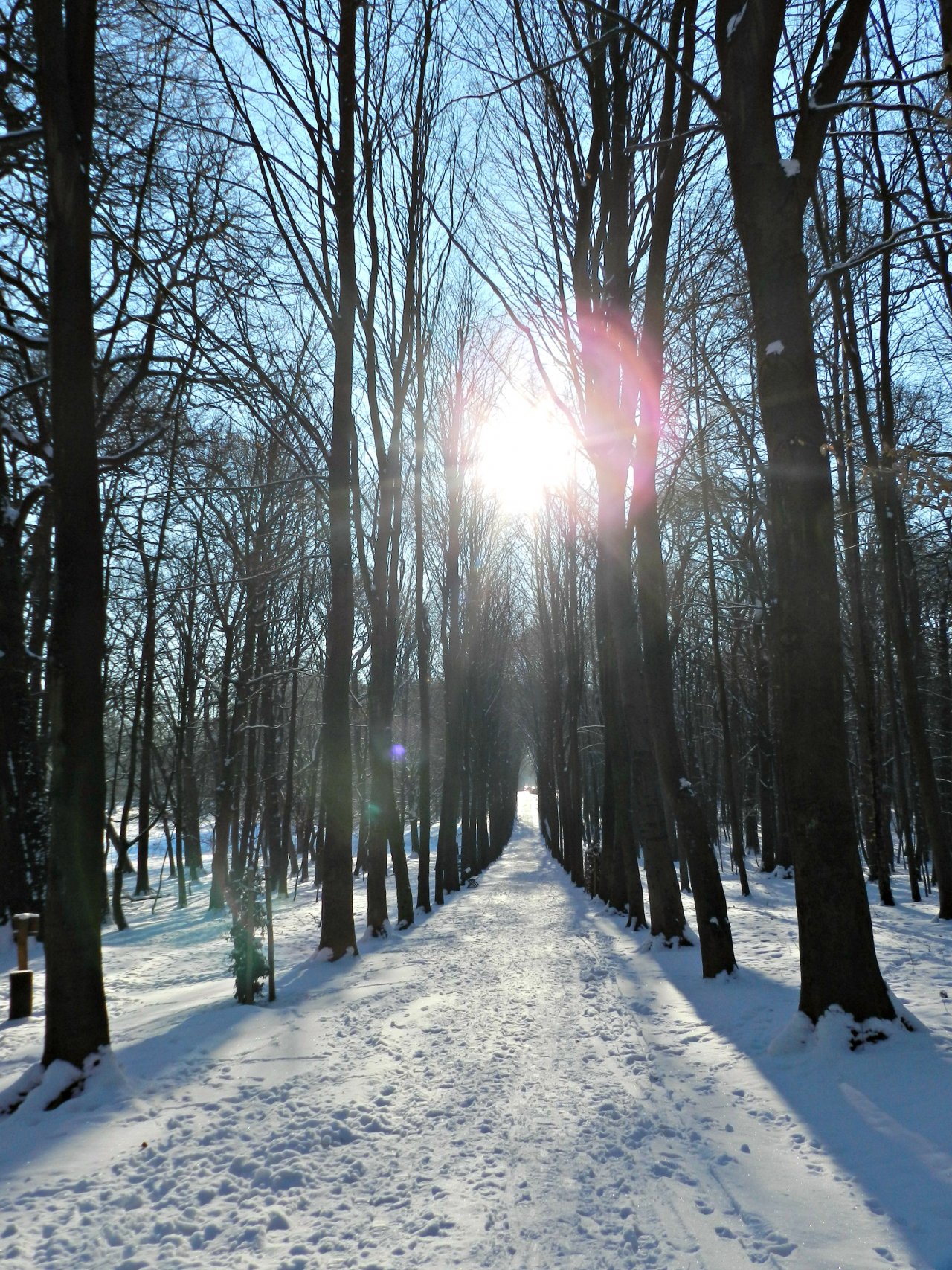 Fonds d'cran Nature Saisons - Hiver Hiver rude