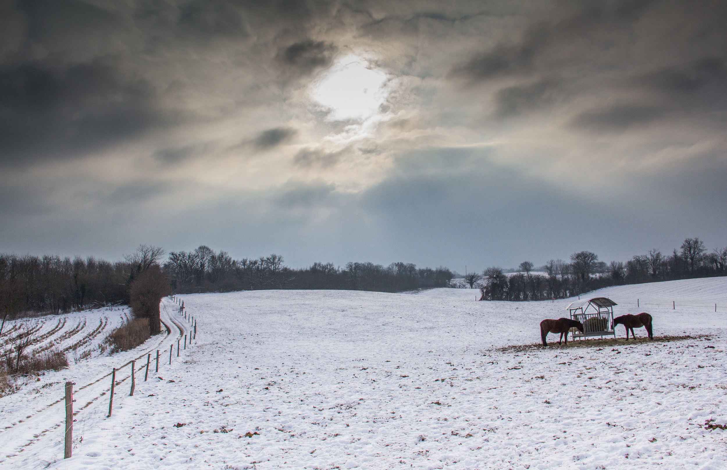 Wallpapers Nature Saisons - Winter la plaine sous la neige