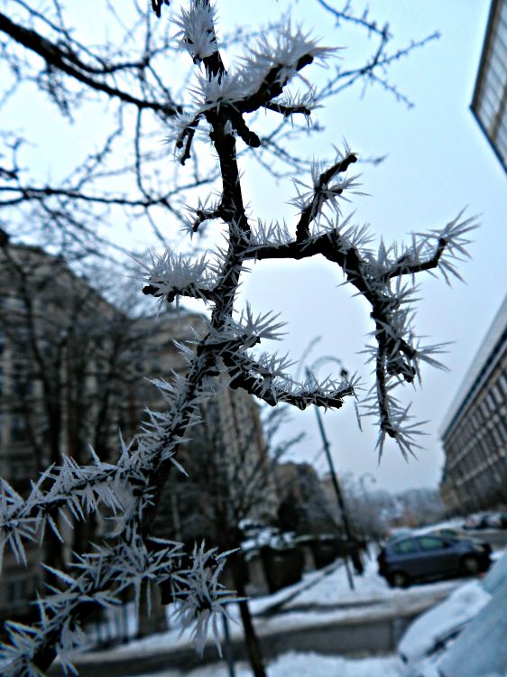 Fonds d'cran Nature Saisons - Hiver Hiver rude