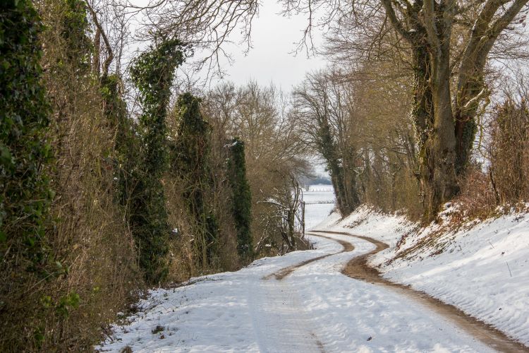 Fonds d'cran Nature Saisons - Hiver la plaine sous la neige