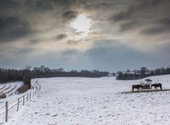  Nature la plaine sous la neige