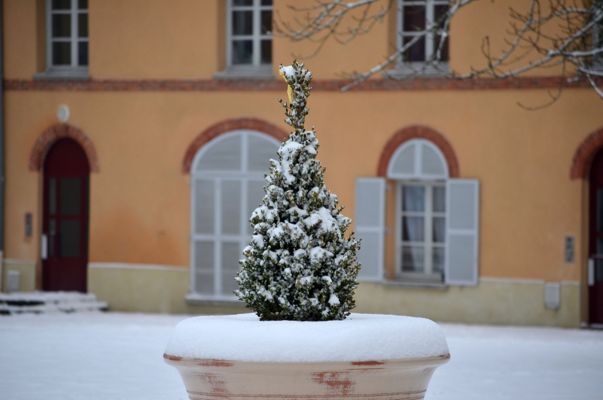 Fonds d'cran Nature Saisons - Hiver 