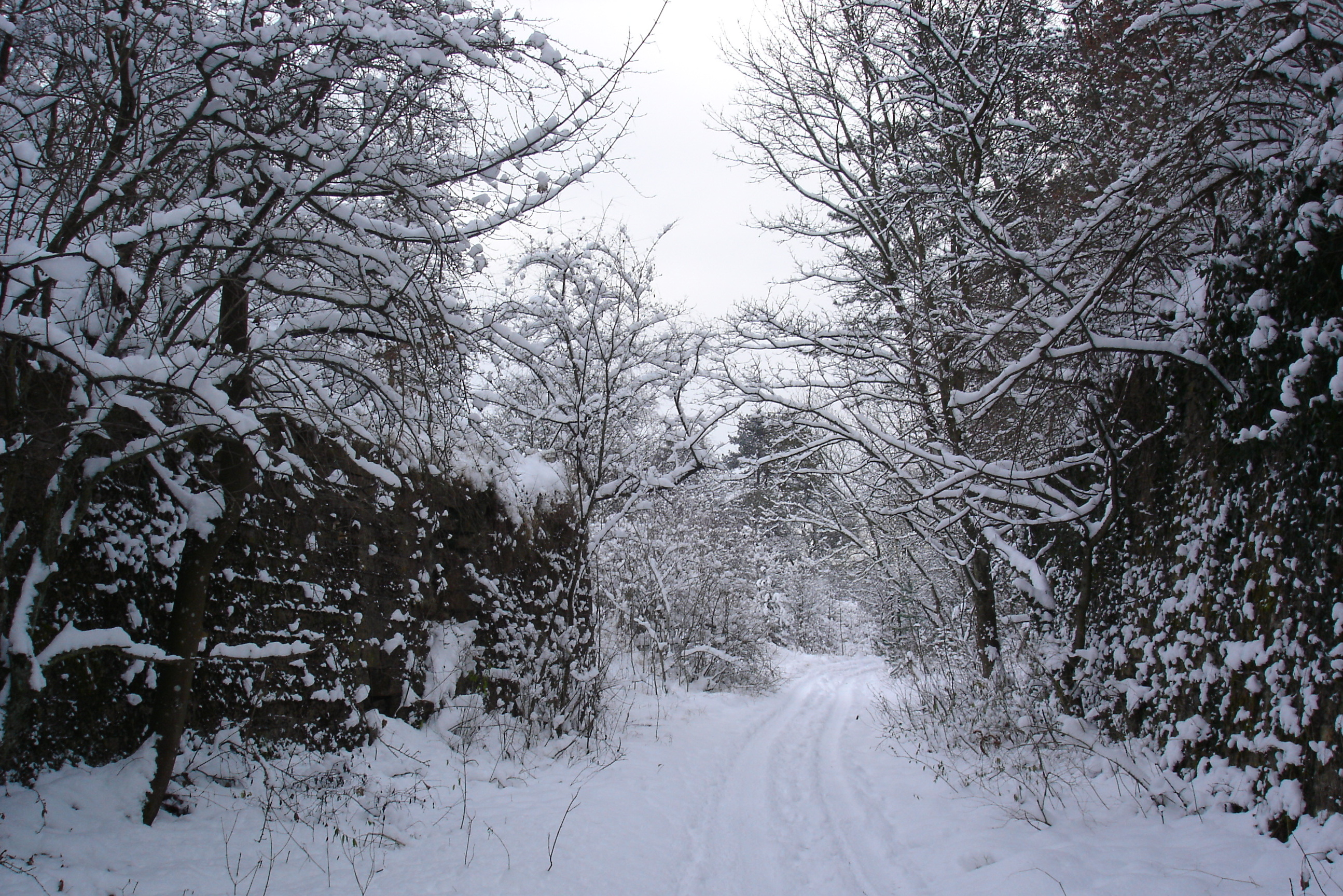 Fonds d'cran Nature Saisons - Hiver 