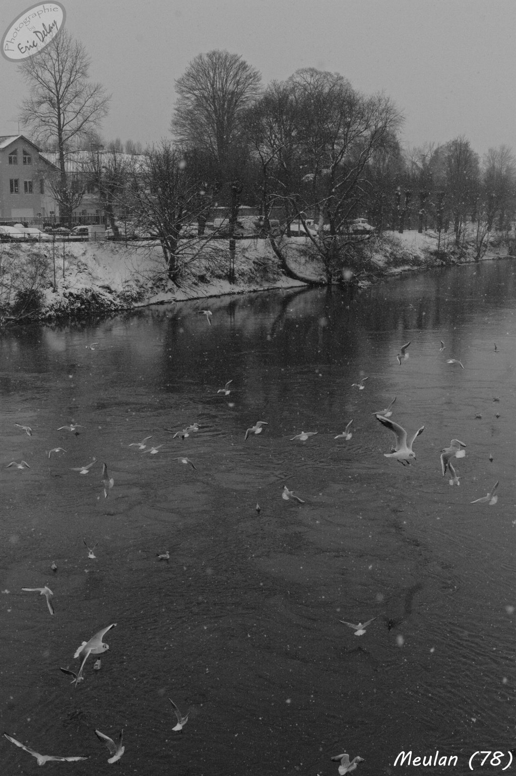 Fonds d'cran Nature Saisons - Hiver 