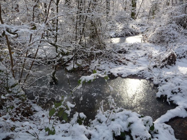 Fonds d'cran Nature Saisons - Hiver Eau fraîche