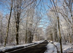  Nature paysage d'hiver