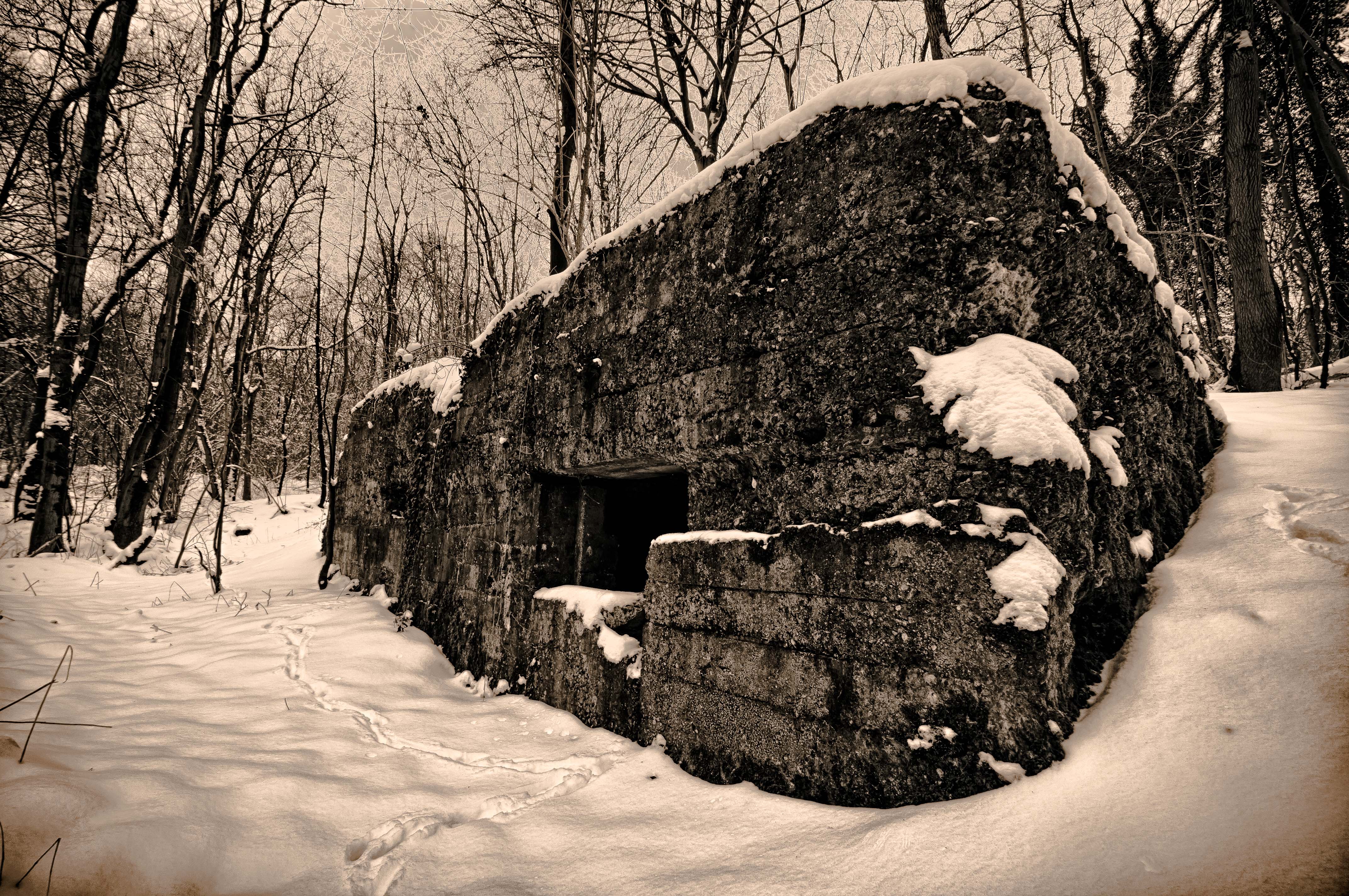 Wallpapers Nature Black & White Bunker