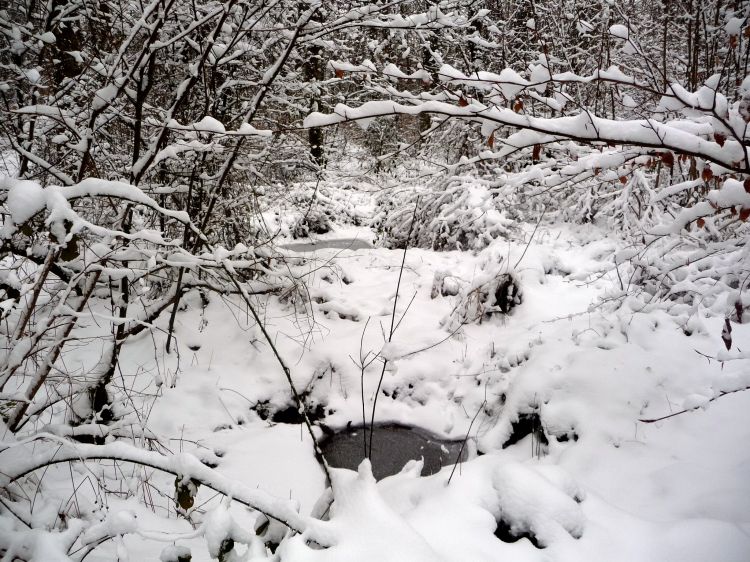 Fonds d'cran Nature Saisons - Hiver Oxygnation