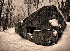  Nature Bunker