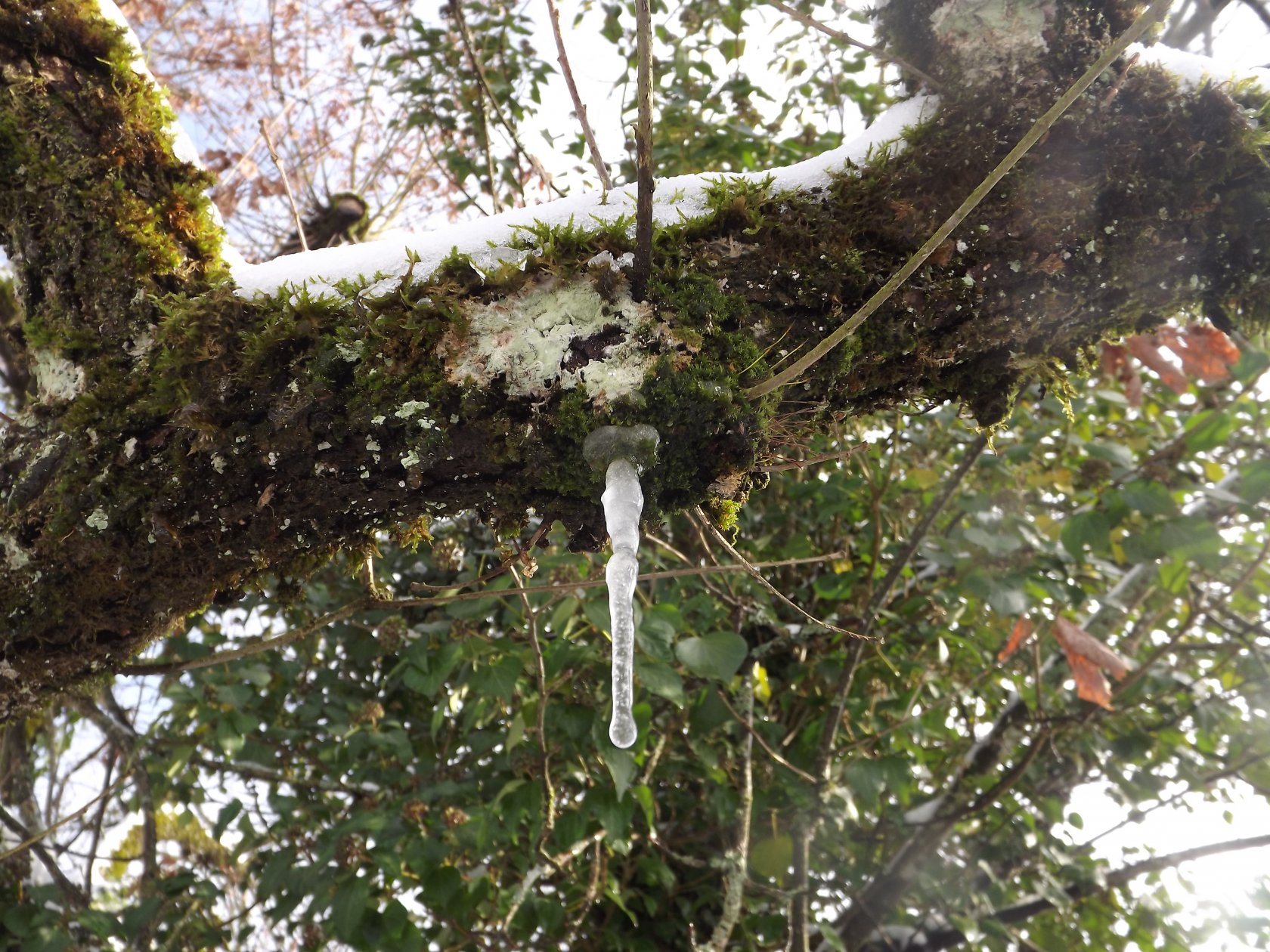 Fonds d'cran Nature Saisons - Hiver  glace et neige : c'est l'hiver!