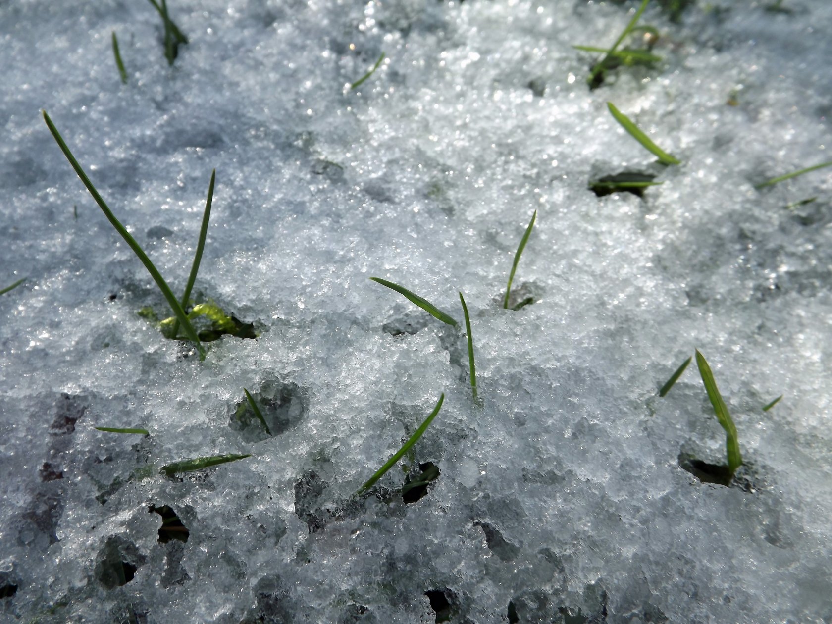 Fonds d'cran Nature Saisons - Hiver  glace et neige : c'est l'hiver!