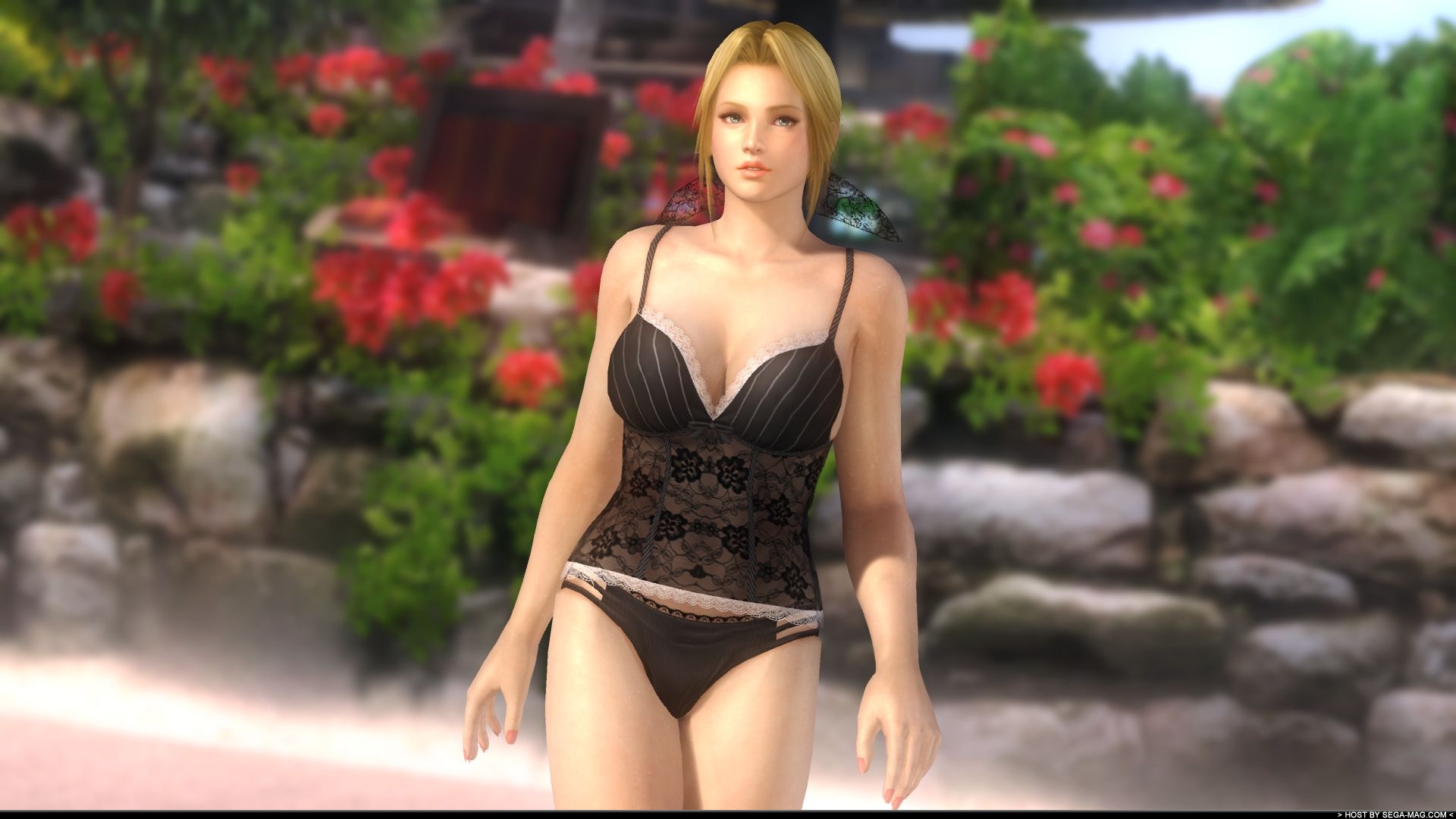 Fonds d'cran Jeux Vido Dead Or Alive DoA Girls Dlc Costume Round 8