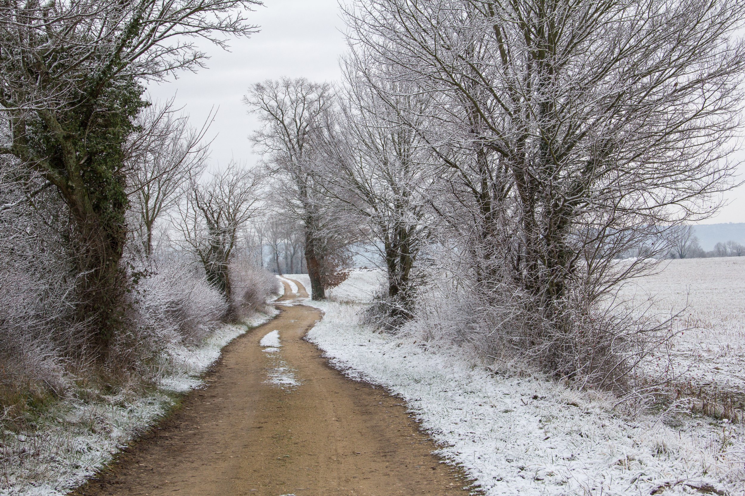 Wallpapers Nature Paths chemin dans la neige