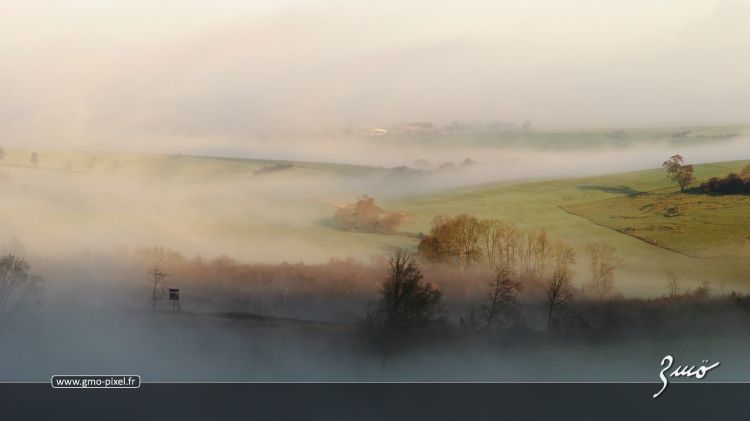 Fonds d'cran Nature Paysages Aube hivernale