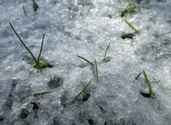  Nature  glace et neige : c'est l'hiver!