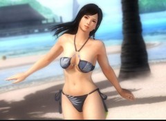  Jeux Vido DoA Girls Dlc Costume Round 8