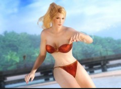  Jeux Vido DoA Girls Dlc Costume Round 8