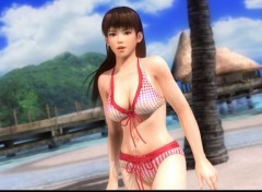  Jeux Vido DoA Girls Dlc Costume Round 8