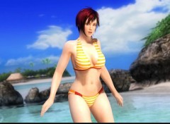  Jeux Vido DoA Girls Dlc Costume Round 8