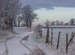  Nature chemin dans la neige