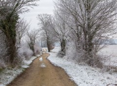  Nature chemin dans la neige