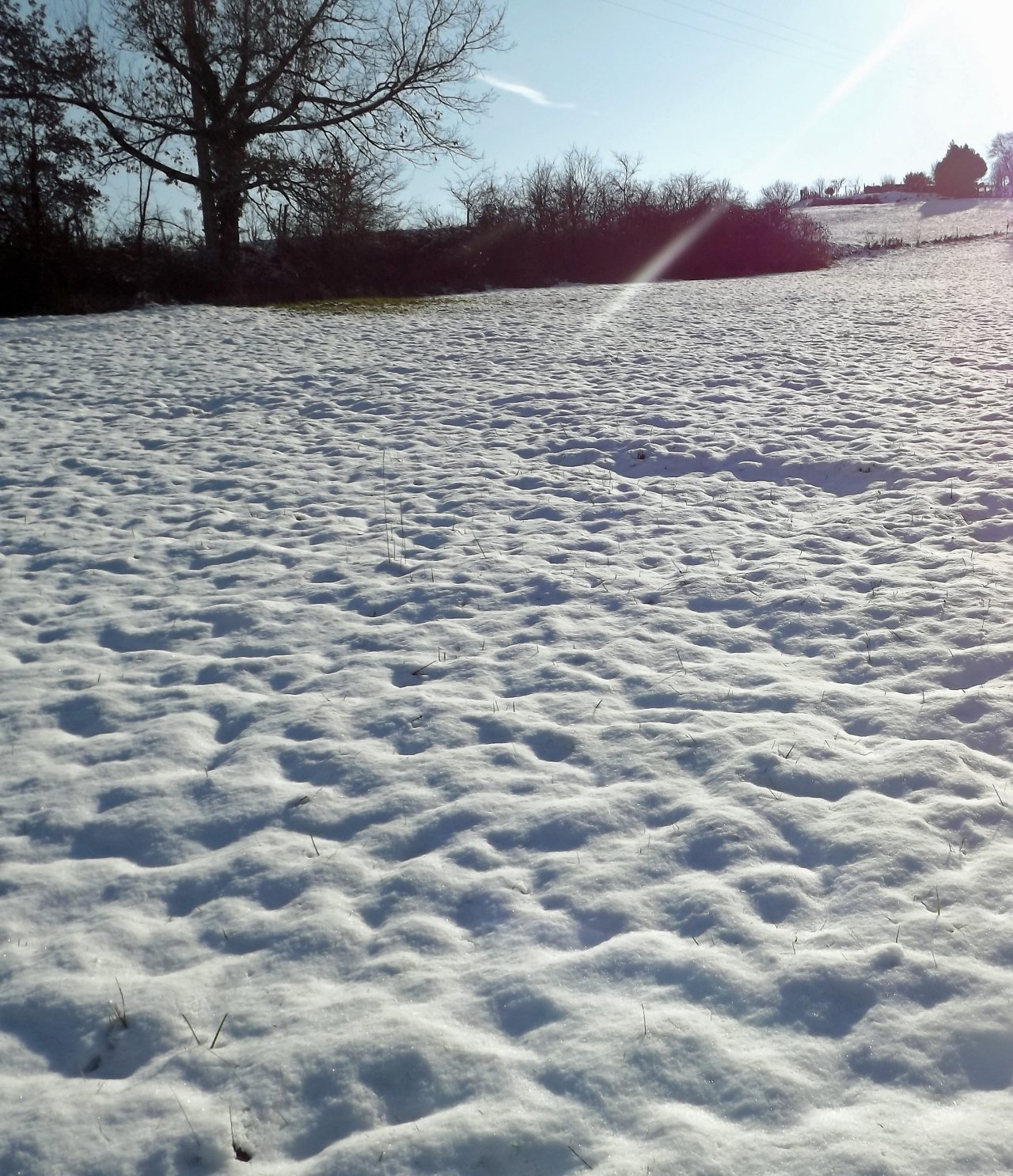 Wallpapers Nature Saisons - Winter sous la neige