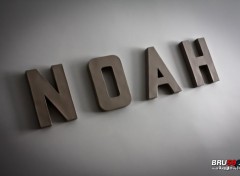  Objects Lettres murales Noah