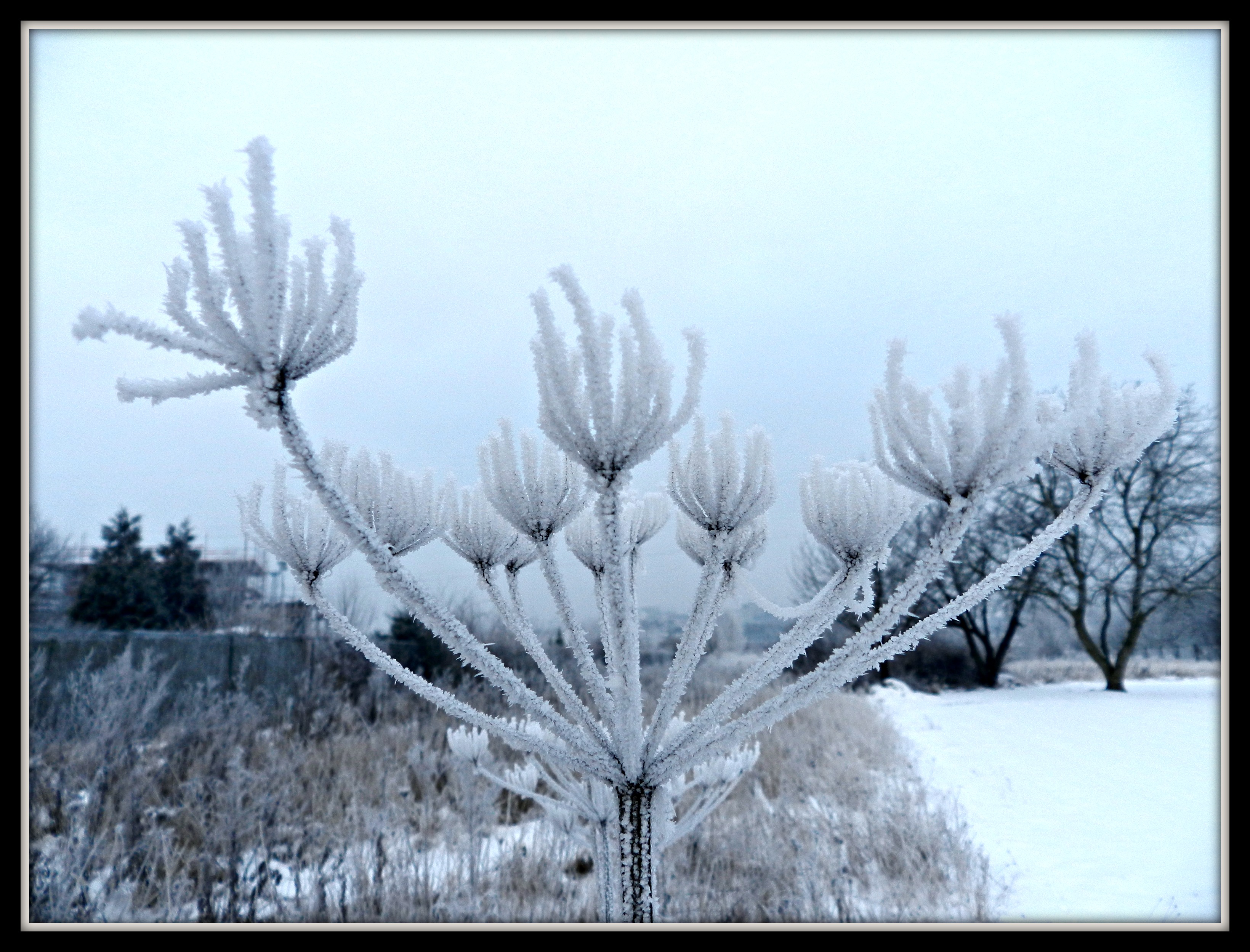 Wallpapers Nature Saisons - Winter L'hiver...