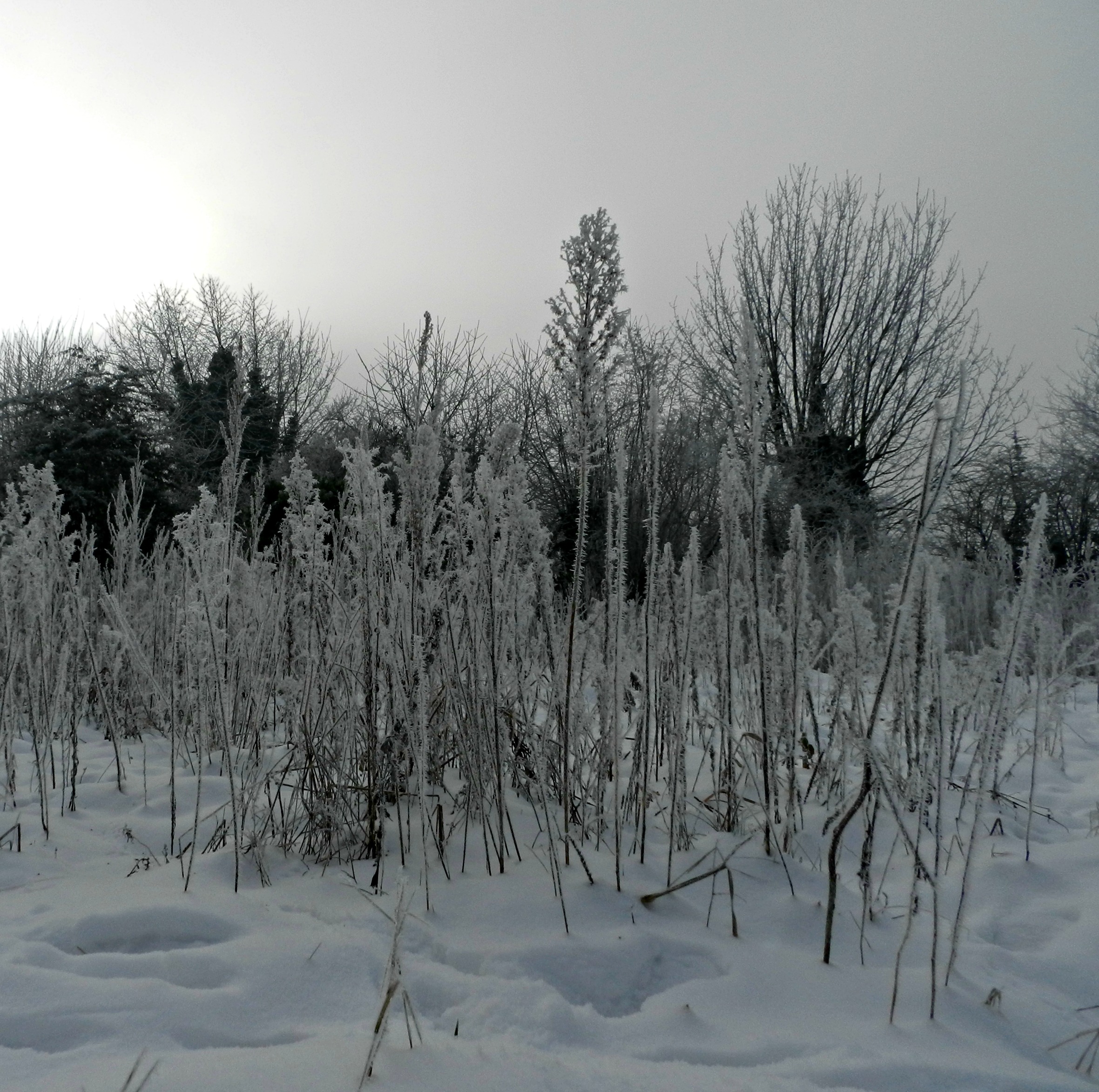 Fonds d'cran Nature Saisons - Hiver L'hiver...