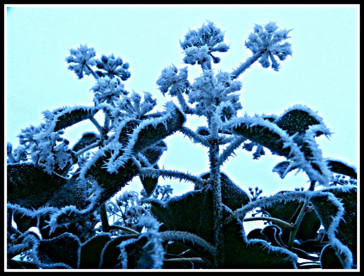 Fonds d'cran Nature Saisons - Hiver L'hiver...