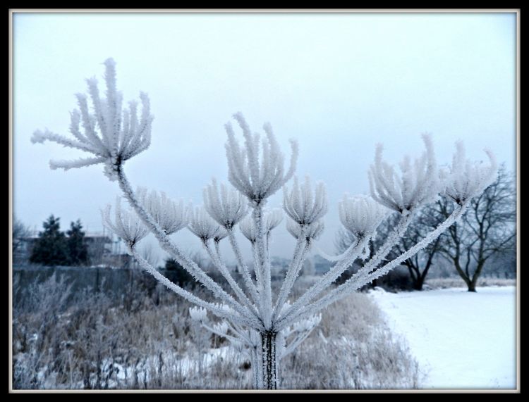 Fonds d'cran Nature Saisons - Hiver L'hiver...