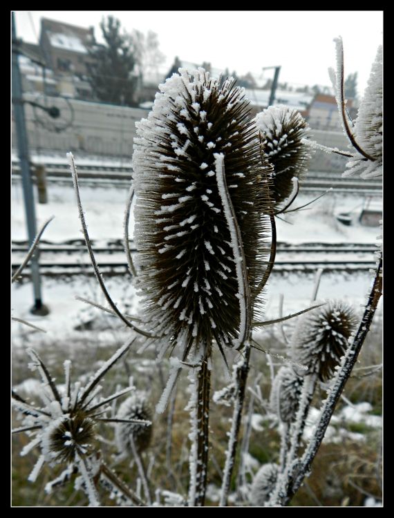 Fonds d'cran Nature Saisons - Hiver L'hiver...