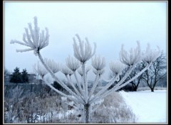  Nature L'hiver...