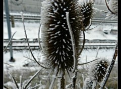  Nature L'hiver...