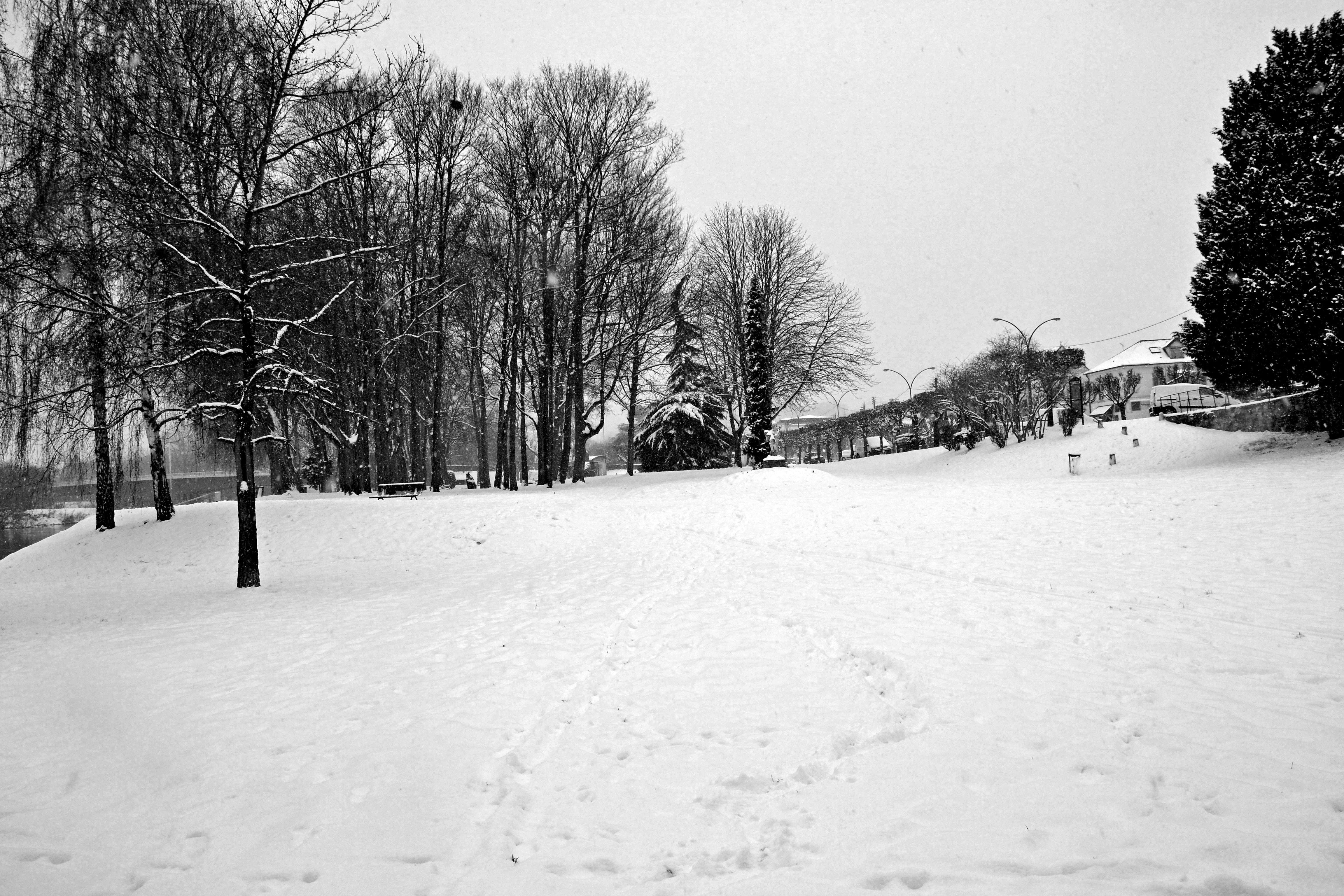 Fonds d'cran Nature Saisons - Hiver 