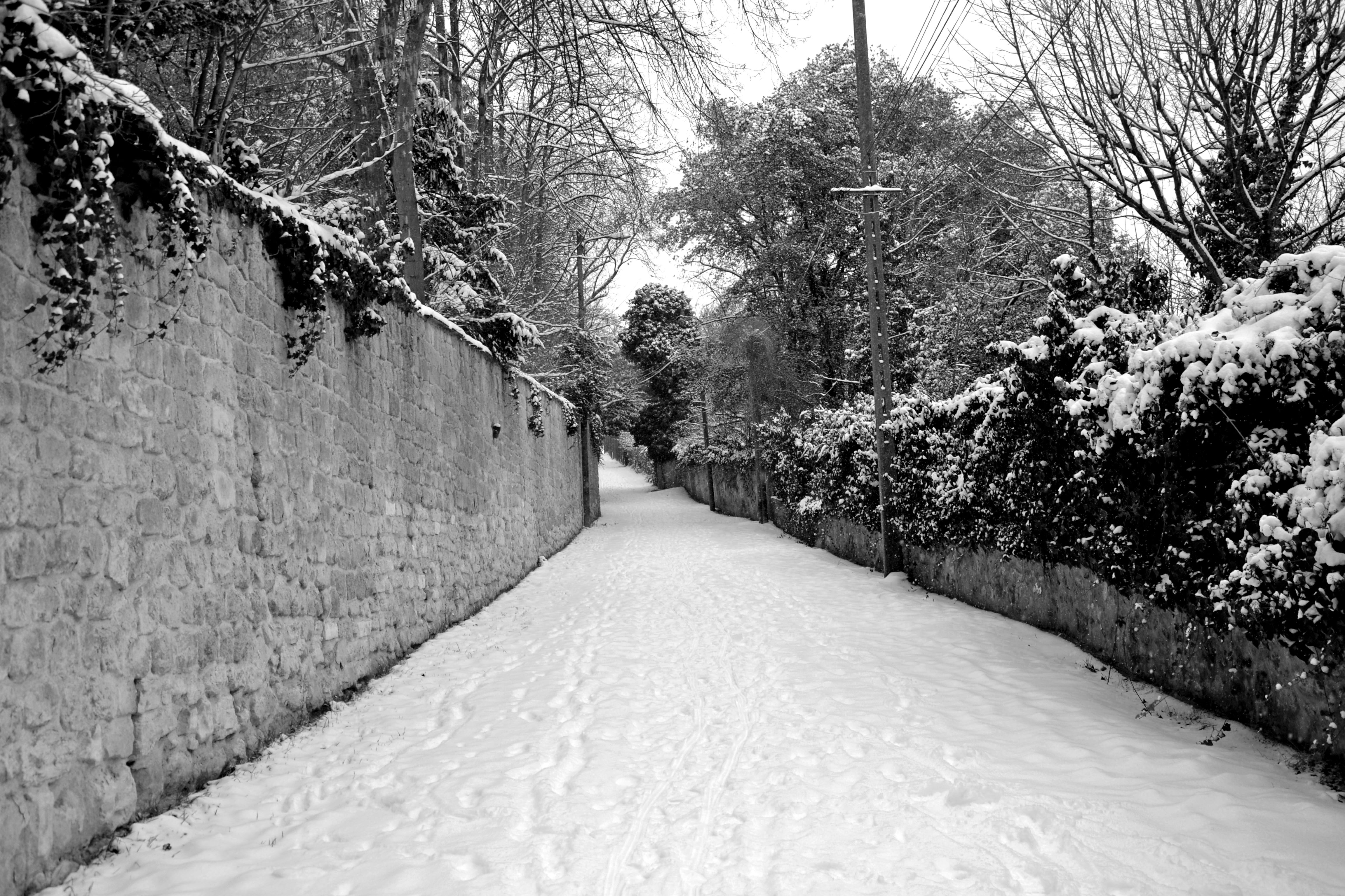 Fonds d'cran Nature Saisons - Hiver 