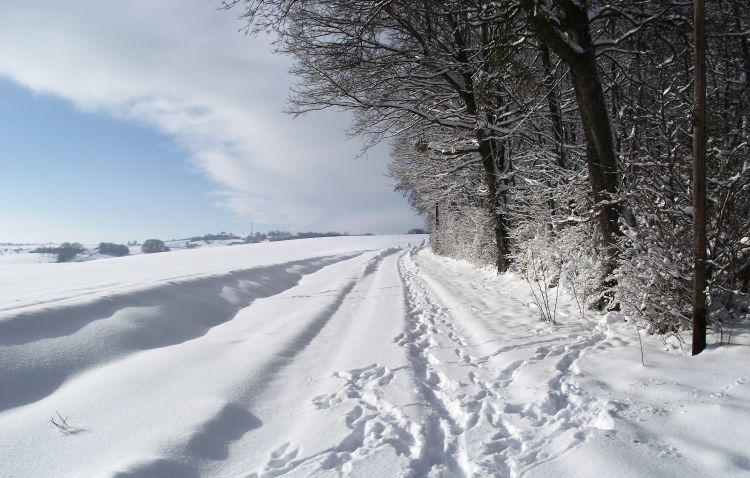 Wallpapers Nature Saisons - Winter Petite route en hivers