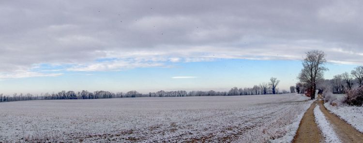 Fonds d'cran Nature Saisons - Hiver chemin dans la plaine