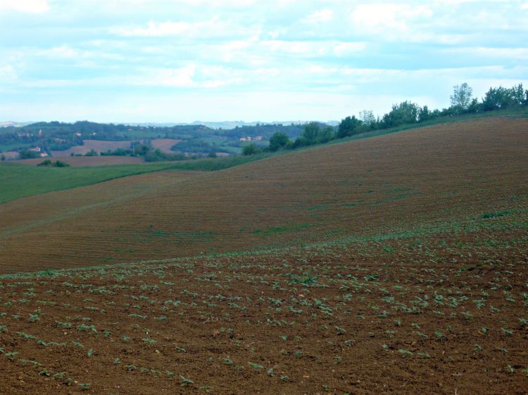 Fonds d'cran Nature Champs - Prairies Ma Campagne