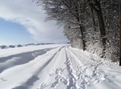  Nature Petite route en hivers