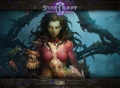  Video Games Starcraft II : Heart of the Swarm