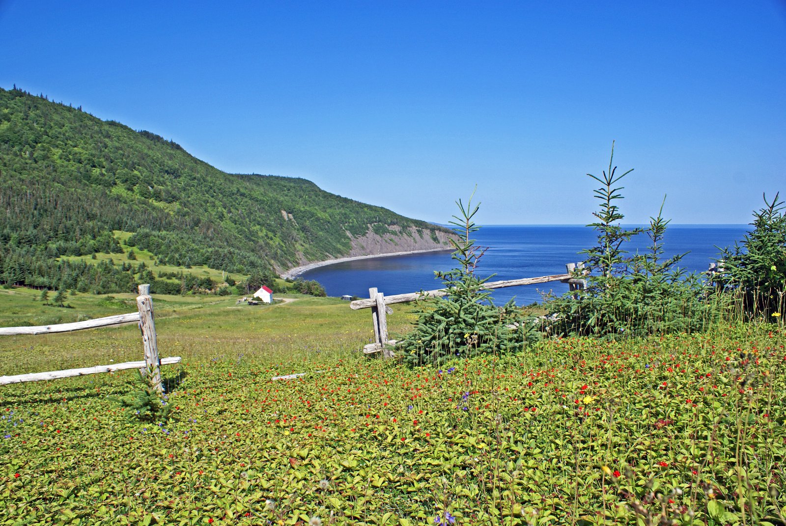 Fonds d'cran Nature Mers - Ocans - Plages LA PETITE MAISON DANS LA PRAIRIE