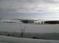  Nature Le Bayonnais en hivers