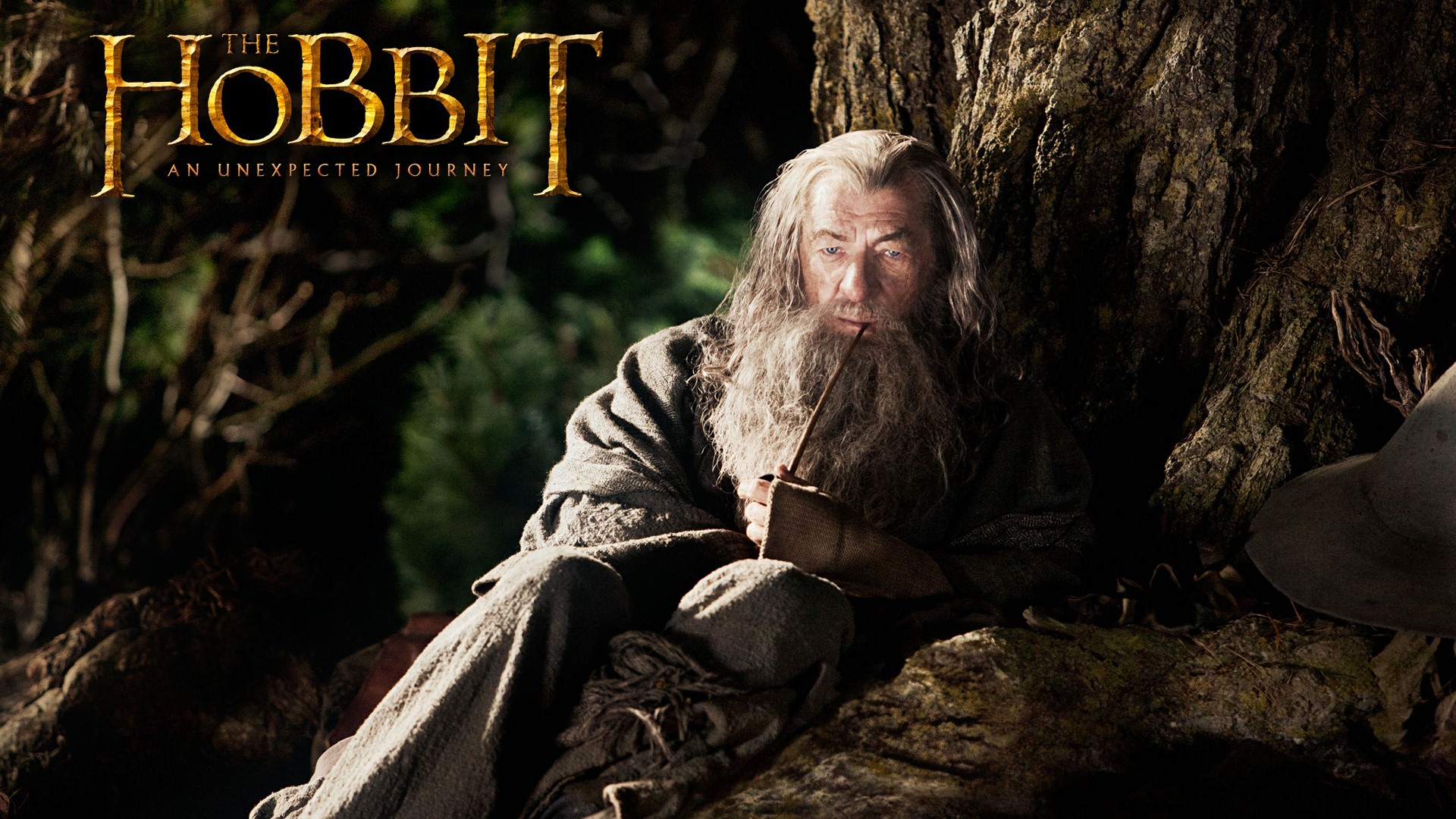 Wallpapers Movies The Hobbit 